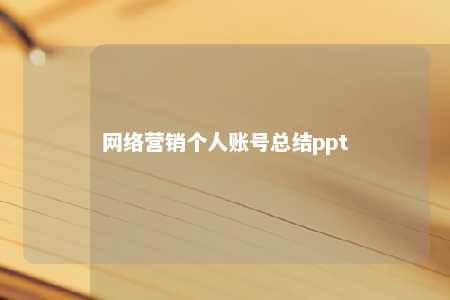 网络营销个人账号总结ppt