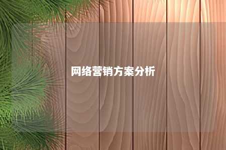 网络营销方案分析