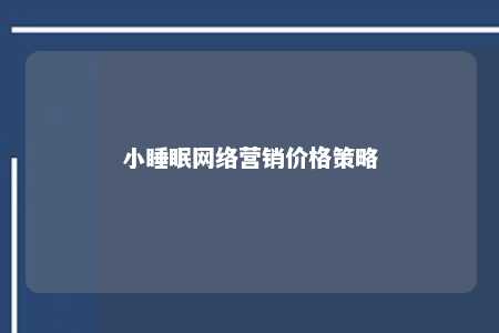 小睡眠网络营销价格策略