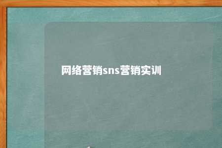 网络营销sns营销实训