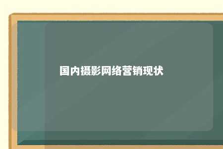 国内摄影网络营销现状