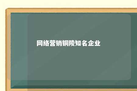 网络营销铜陵知名企业