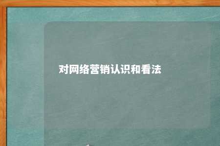 对网络营销认识和看法