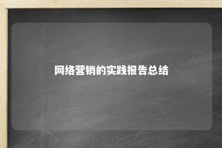 网络营销的实践报告总结