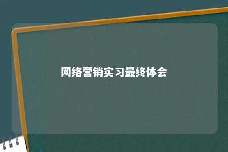 网络营销实习最终体会