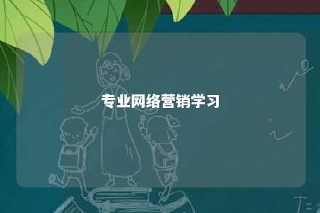 专业网络营销学习