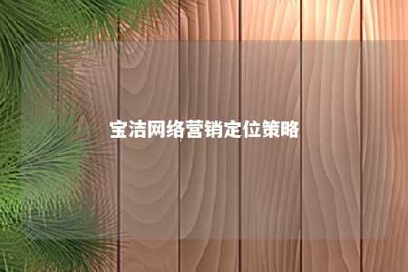 宝洁网络营销定位策略