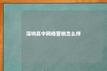 深圳高中网络营销怎么样