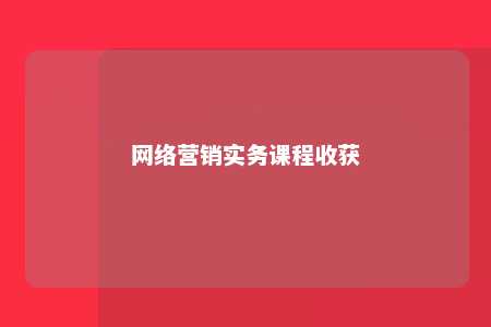 网络营销实务课程收获