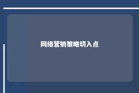 网络营销策略切入点