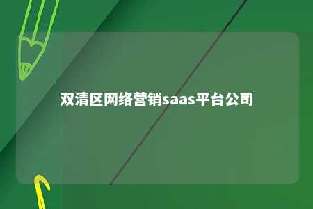 双清区网络营销saas平台公司