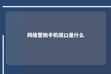 网络营销手机端口是什么