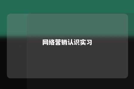 网络营销认识实习