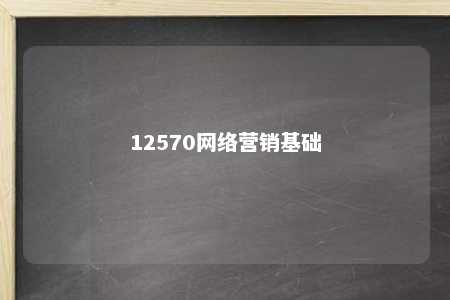 12570网络营销基础