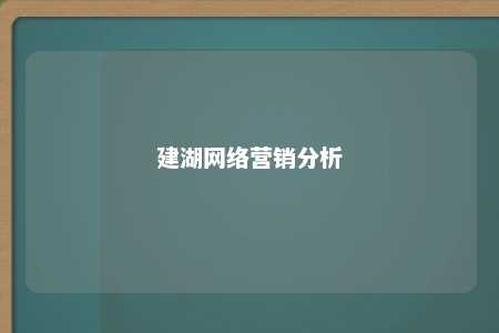 建湖网络营销分析