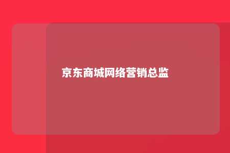 京东商城网络营销总监