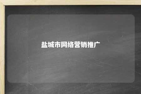 盐城市网络营销推广