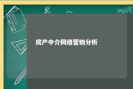 房产中介网络营销分析