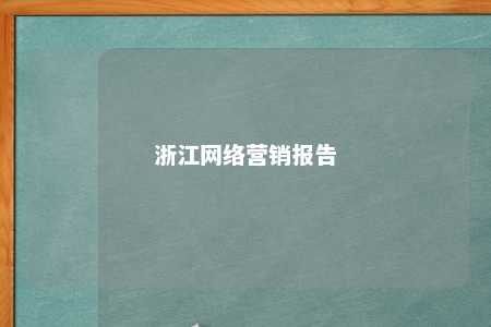 浙江网络营销报告