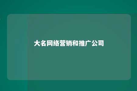 大名网络营销和推广公司