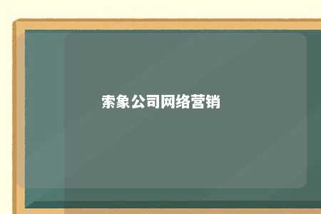 索象公司网络营销