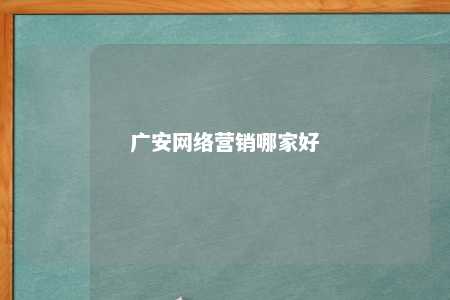 广安网络营销哪家好