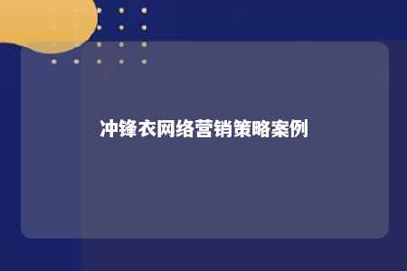 冲锋衣网络营销策略案例