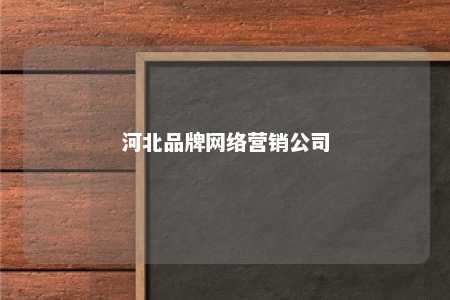 河北品牌网络营销公司