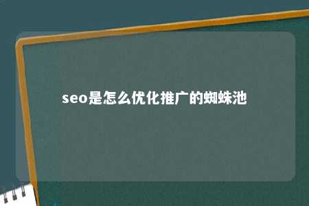 seo是怎么优化推广的蜘蛛池