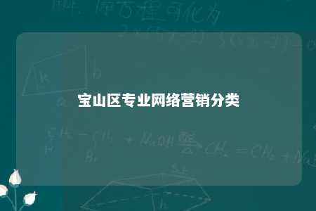 宝山区专业网络营销分类