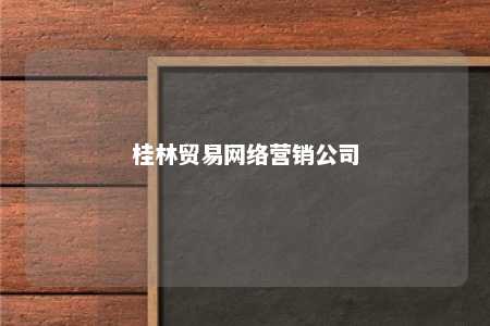 桂林贸易网络营销公司