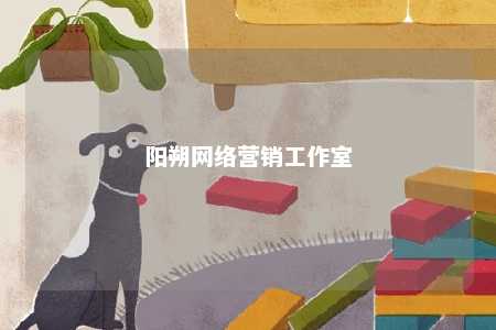 阳朔网络营销工作室