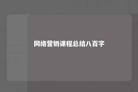 网络营销课程总结八百字