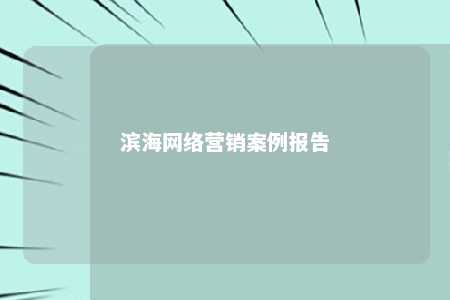 滨海网络营销案例报告