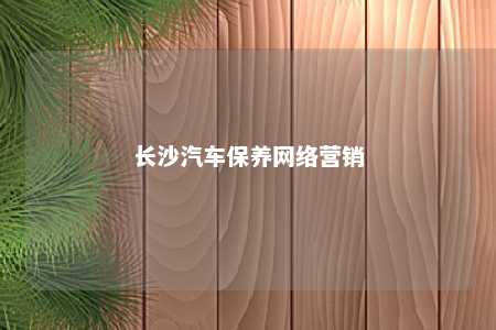 长沙汽车保养网络营销