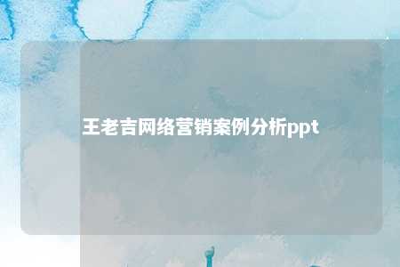 王老吉网络营销案例分析ppt