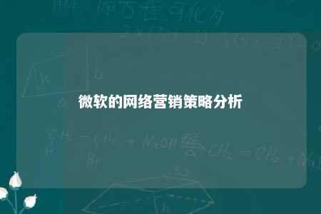 微软的网络营销策略分析