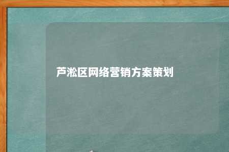 芦淞区网络营销方案策划