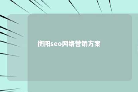 衡阳seo网络营销方案