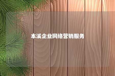 本溪企业网络营销服务