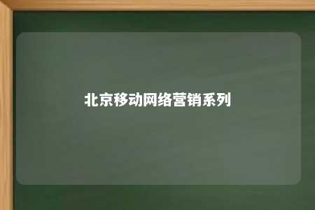 北京移动网络营销系列