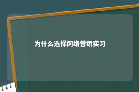 为什么选择网络营销实习