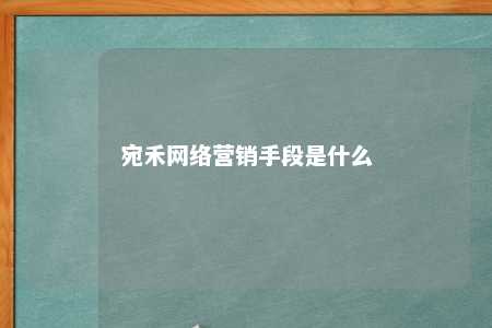 宛禾网络营销手段是什么