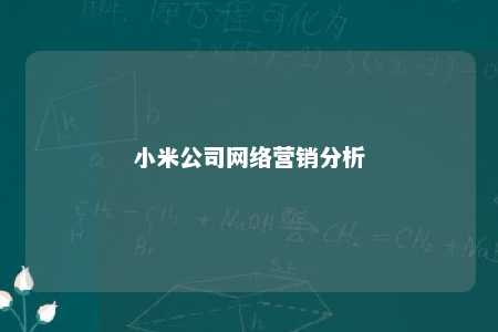 小米公司网络营销分析