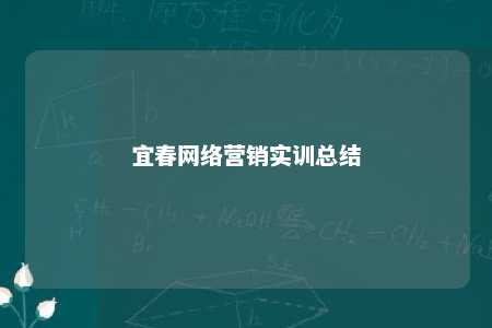 宜春网络营销实训总结