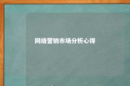 网络营销市场分析心得