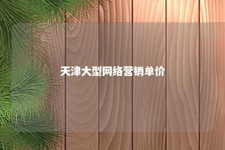 天津大型网络营销单价