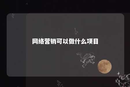 网络营销可以做什么项目