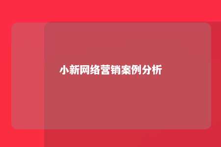 小新网络营销案例分析