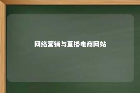 网络营销与直播电商网站